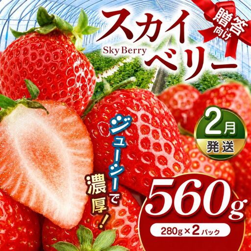 スカイベリー（贈答向け）【2月発送】約560g 真岡市 栃木県 送料無料
