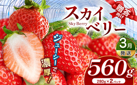 スカイベリー(贈答向け)[3月発送]280g×2p 真岡市 栃木県 送料無料