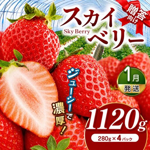 スカイベリー（贈答向け）【1月発送】約1120g 真岡市 栃木県 送料無料