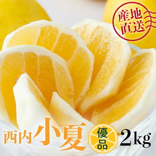 [優品]西内小夏 2kg