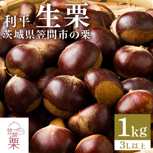 笠間の栗・箱田農園の生栗「利平」1kg（3L以上） JN-005