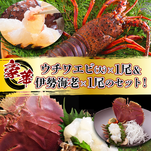 ウチワエビ(大)×1尾＆伊勢海老×1尾の豪華セット