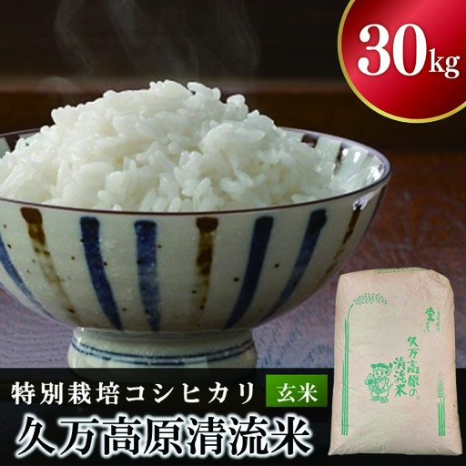【R8年産】久万高原清流米 コシヒカリ 30kg 玄米｜特別栽培米 減農薬・減化学肥料 標高800mの高原育ち 愛媛県久万高原町 道の駅　天空の郷さんさん ※2026年10月～発送