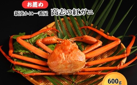 新湊かに一番屋【お薦め】高志の紅ガニ600g ズワイガニ 紅ずわいがに カニ 蟹 富山県 射水市 ※2026年10月～発送