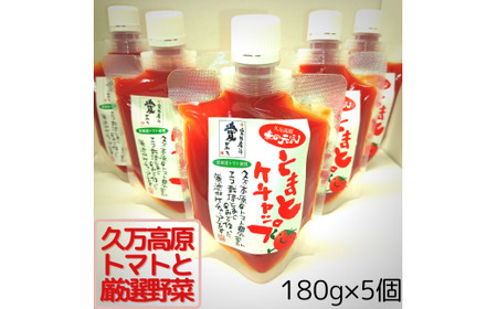 赤の元気「トマトケチャップ」5個セット 無添加◆｜完熟トマト 詰め合わせ 個包装 トマト とまと ケチャップ トマトケチャップ アレンジ アレンジ料理 万能 保存料不使用 完熟トマト 完熟 料理 調味料 濃い 多用途 おすすめ 人気 美味しい 万能調味料 ベジタブル 濃厚 野菜 ソース パスタ 無添加 愛媛 久万高原町 赤の元気 ※着日指定不可