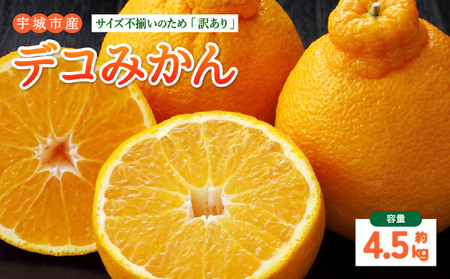 先行予約 訳あり デコみかん 4.5kg[2027年1月中旬-2027年4月下旬発送予定] 家庭用 規格外 フルーツ みかん 果物 果物 旬