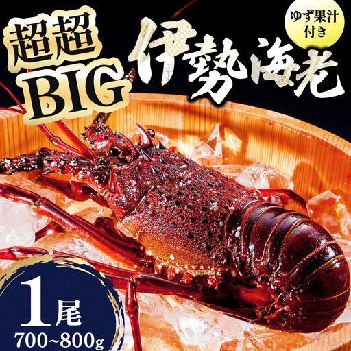 1000尾に1尾レベル！超超BIG伊勢海老 1尾(700g～800g)