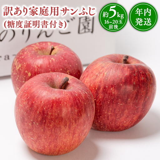 りんご 家庭用  サンふじ 約5kg りんご