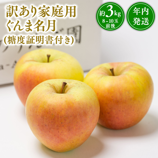 りんご 家庭用 ぐんま名月 約3kg りんご