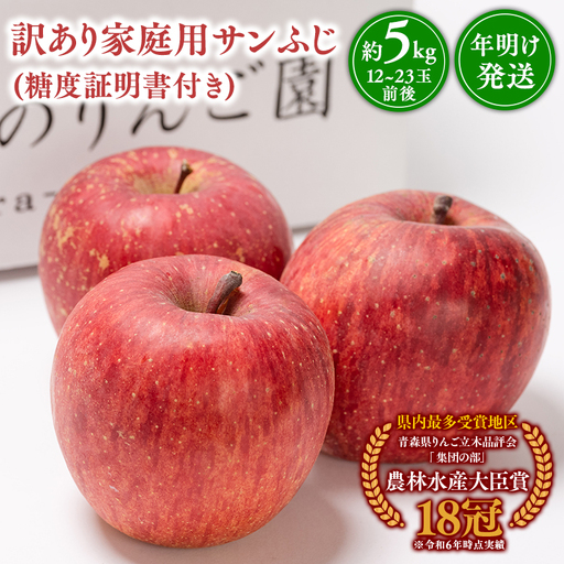 りんご 家庭用  サンふじ 約5kg りんご