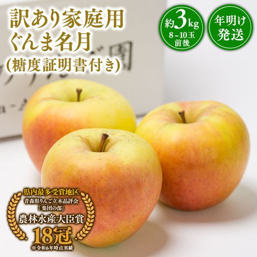 りんご 家庭用 ぐんま名月 約3kg　[hi-0005-030]