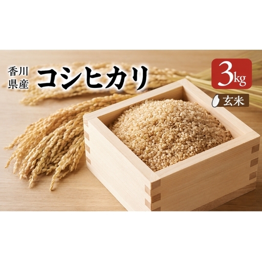 香川県産コシヒカリ（玄米 3kg）玄米 お米