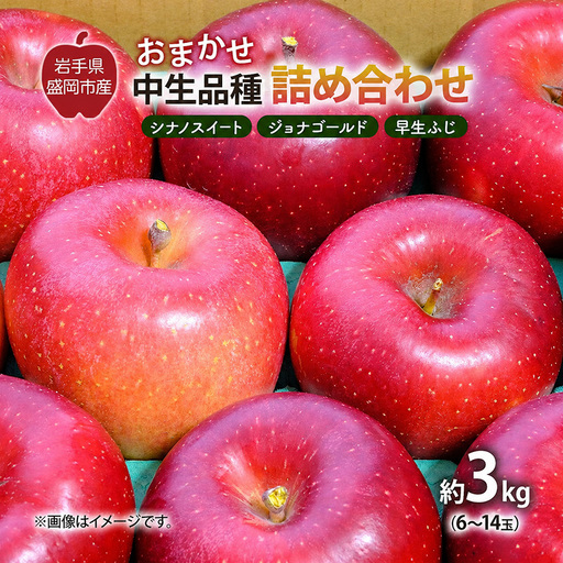 【先行予約】 9月中旬発送開始 りんご 詰め合わせ 2種以上 3kg 藤与果樹園 fujiyo010 りんご