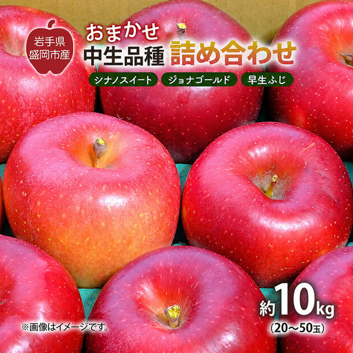 【先行予約】 9月中旬発送開始 りんご 詰め合わせ 2種以上 10kg 藤与果樹園 fujiyo012 りんご