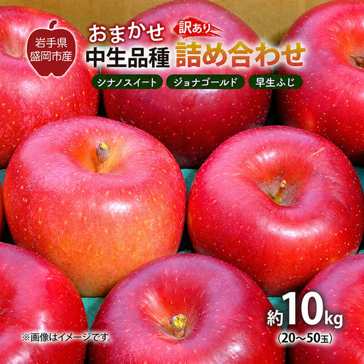 【先行予約】 9月中旬発送開始 訳あり りんご 詰め合わせ 2種以上 10kg 藤与果樹園 fujiyo015 りんご