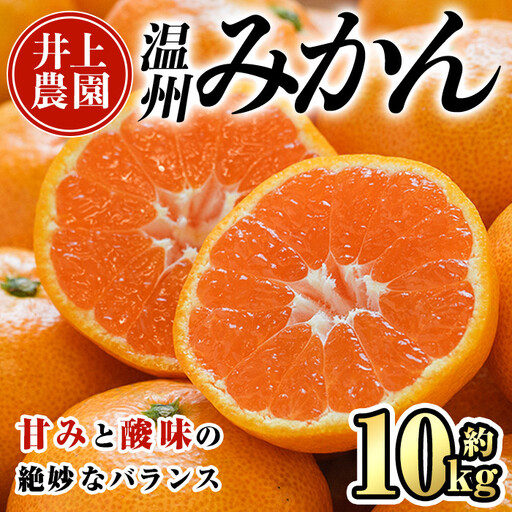 ＜先行予約受付中！12月上旬より順次発送予定＞数量限定 大分県宇佐市産 温州みかん(約10kg)みかん ミカン 蜜柑 柑橘 フルーツ 果物 くだもの 果実 国産【103620400】【井上農園】
