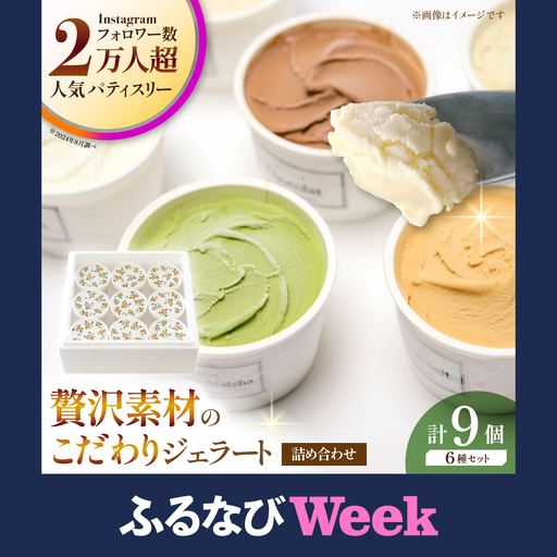 【ふるなびWEEK対象】ジェラート9個セット アイス ジェラート ZAR002-FW