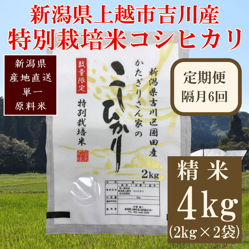 【隔月6回】特別栽培米 コシヒカリ 上越産 精米 コシヒカリ 4kg