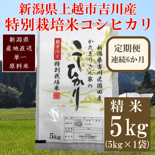 【定期便6ヶ月】特別栽培米 コシヒカリ 精米5kg 上越産 コシヒカリ