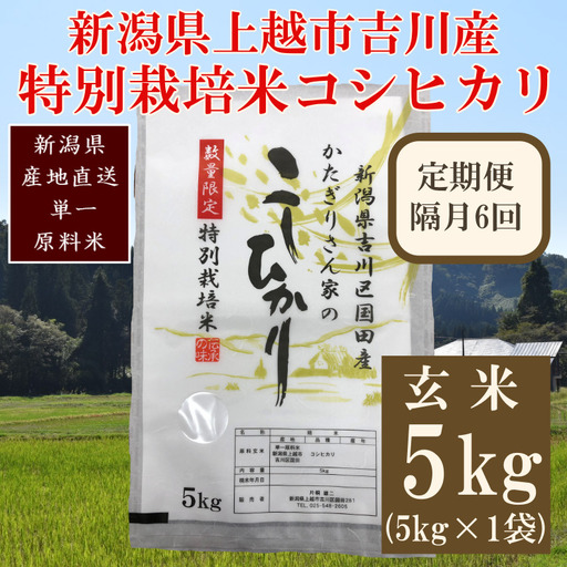 【隔月定期便6回】特別栽培米 コシヒカリ 玄米5kg 上越産 コシヒカリ
