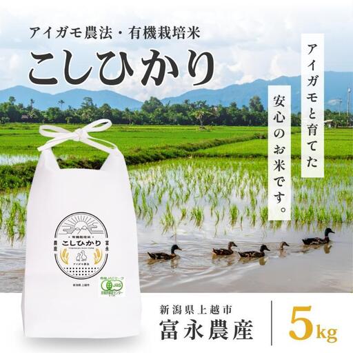 令和7年 新潟県産コシヒカリ アイガモ農法 5kg 5キロ JAS有機栽培米 上越市 三和区神田 富永農産 送料無料 安全・安心こしひかり