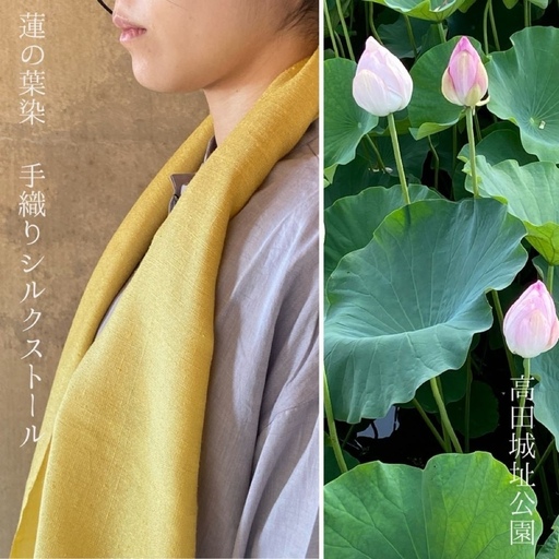 高田城址公園 蓮の葉染 シルクプチストール 手織り シルク