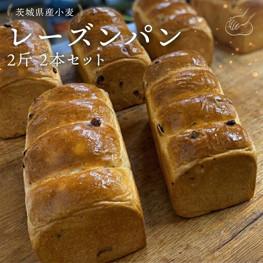 茨城県産 小麦の レーズンパン 2斤 2本 セット