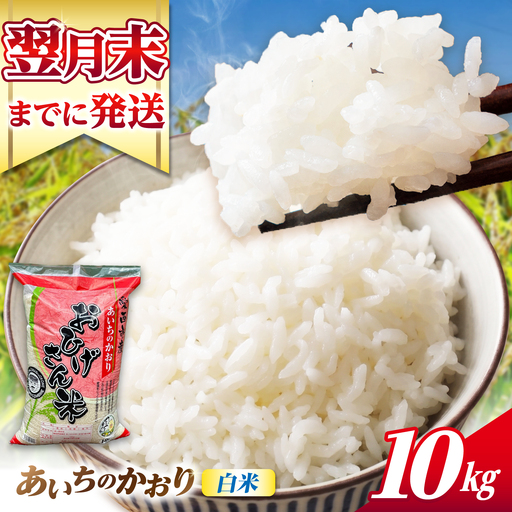 あいちのかおり 白米 10kg [AECP002] 白米