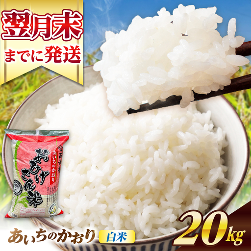 あいちのかおり 白米 20kg [AECP003-12] 白米
