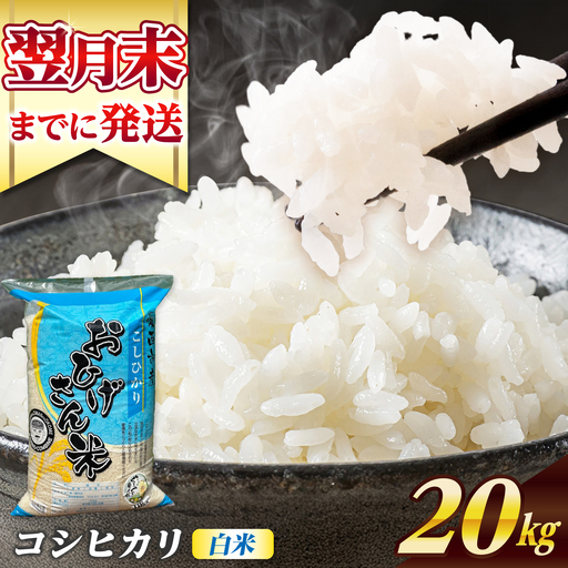 コシヒカリ 白米 20kg [AECP023-1] コシヒカリ
