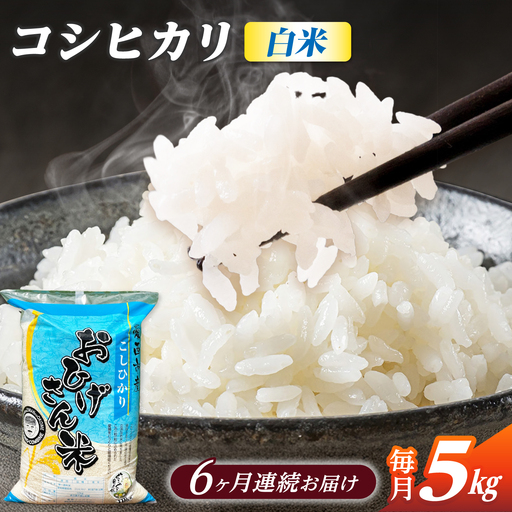 【6回定期便】コシヒカリ 白米 5kg×6か月 / 脇野コンバイン[AECP025]