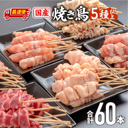 【最速便】若鶏の焼き鳥セット5種(60本)バラエティーセット 焼鳥 鶏肉 小分け