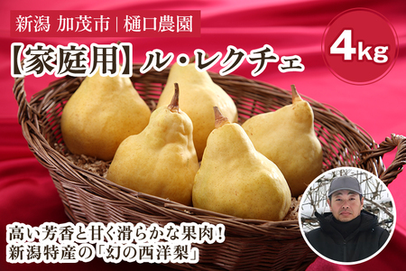 【2026年先行予約】【家庭用】西洋梨 ル・レクチェ 4kg（9～12玉）《11月下旬～順次発送》 果物 梨 洋梨 西洋梨 フルーツ 訳あり 冬の味覚 デザート 産地直送 加茂市 樋口農園 梨