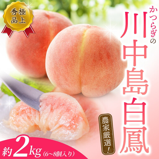 桃 川中島白桃 大玉特秀品 約2kg【kgr011B】