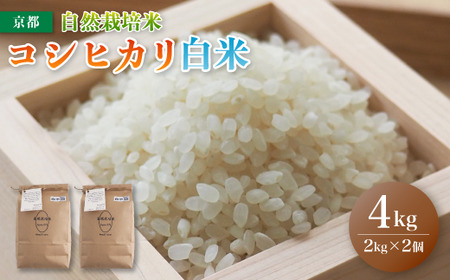 令和8年度産 新米受付 自然栽培米 こしひかり 4kg (2kg×2) 精米 白米