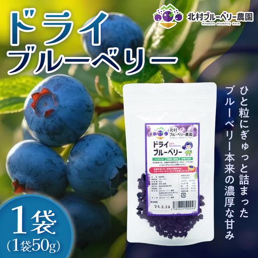 ドライブルーベリー 50g 無添加 摘みたて 砂糖不使用 ノンオイル ドライフルーツ