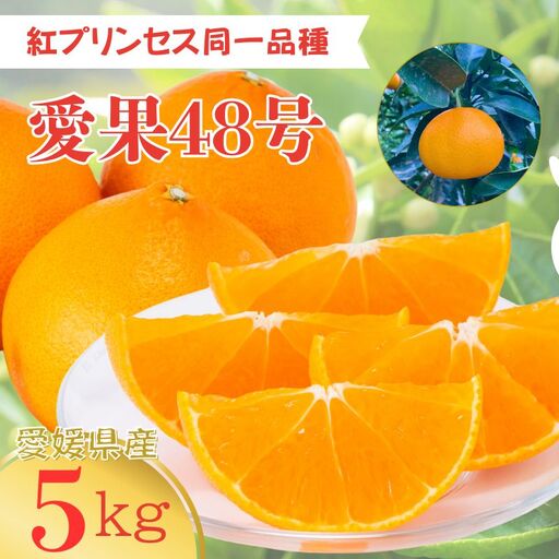 【2027年3月上旬より順次発送予定】愛果48号 5kg M～4Lサイズ｜C93