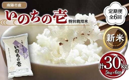 【令和8年産 新米 先行予約】 【金賞受賞農家】 《定期便6回》 特別栽培米 いのちの壱 5kg×6か月 《令和8年10月中旬～発送》 『あおきライスファーム』 山形南陽産 米 白米 精米 ご飯 農家直送 山形県 南陽市 [1617-R8A]