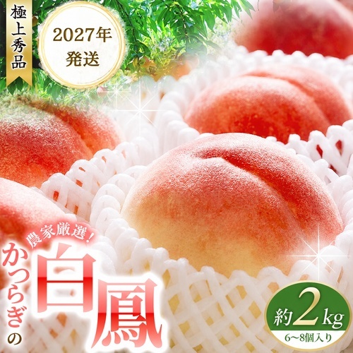 桃 白桃 約2kg 6〜8個 [秀品]※2027年6月20日〜7月30日発送予定[BK012-kgr009B]