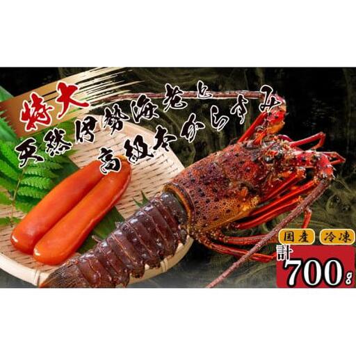 【 からすみ 】 からすみと伊勢海老1匹