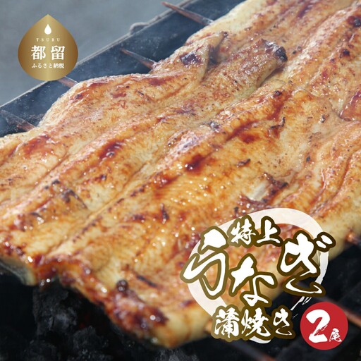 うなぎの蒲焼（半カット）2尾　380g以上 うなぎ ウナギ 鰻 かば焼き 蒲焼 冷凍 タレ うな重 うな丼 おすすめ 山椒　国産うなぎ