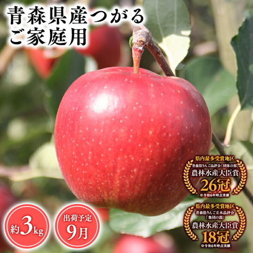 りんご 家庭用 つがる3kg 青森県平川市産 りんご
