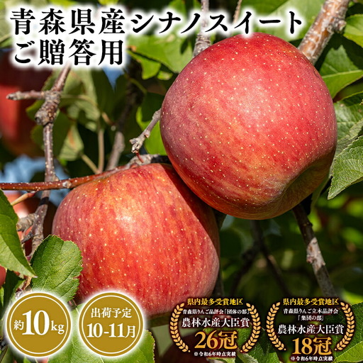 りんご 贈答用 シナノスイート10kg [hi-0053-028]