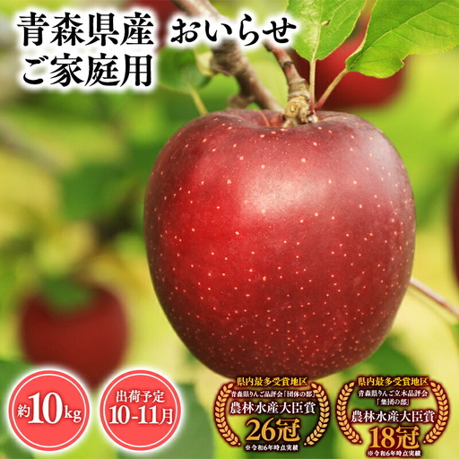 りんご 家庭用 おいらせ10kg りんご
