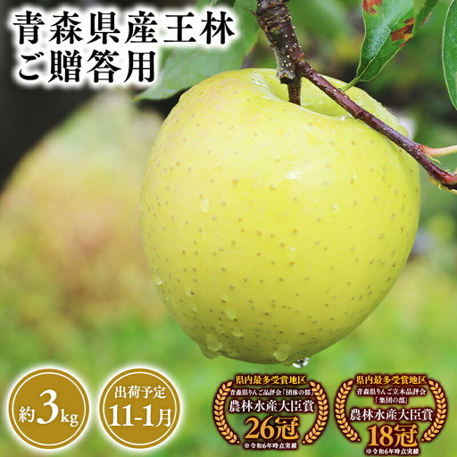 りんご 贈答用 王林3kg [hi-0053-044]