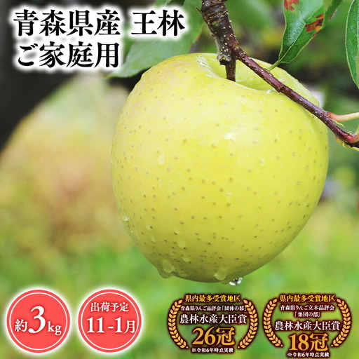 りんご 家庭用 王林3kg [hi-0053-047]