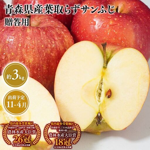 りんご 贈答用 葉とらずサンふじ3kg[hi-0053-050]