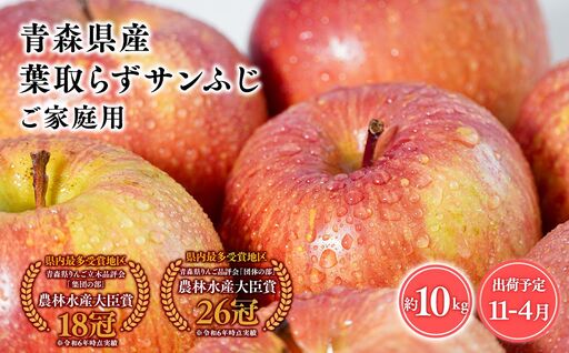 りんご 家庭用 葉とらずサンふじ10kg  [hi-0053-055]