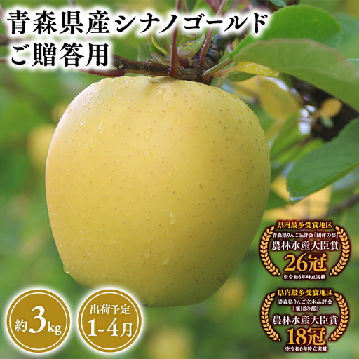 りんご 贈答用 シナノゴールド3kg りんご