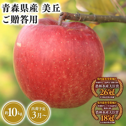 りんご 贈答用 美丘10kg [hi-0053-070]